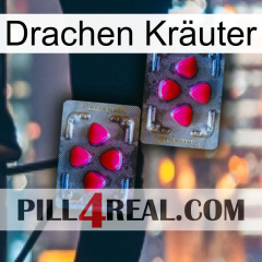 Drachen Kräuter 15